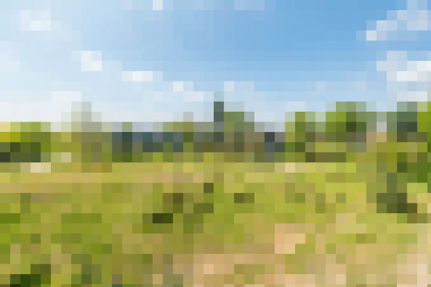 Zandheuvel 7 Silvolde thumbnail 23