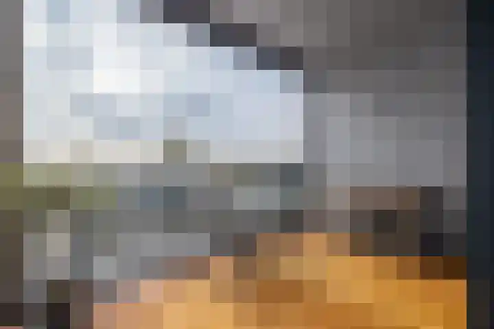Zandheuvel 8 Silvolde thumbnail 16