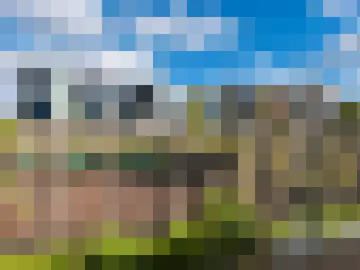 Zandheuvel 8 Silvolde thumbnail 34