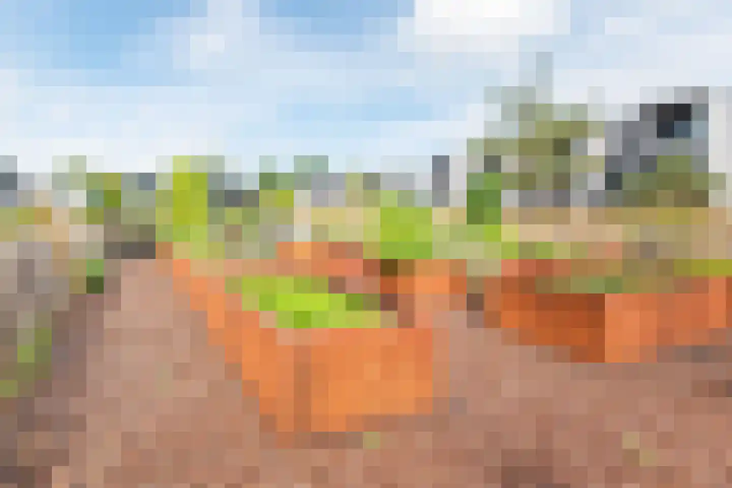 Zandheuvel 9 Silvolde thumbnail 42