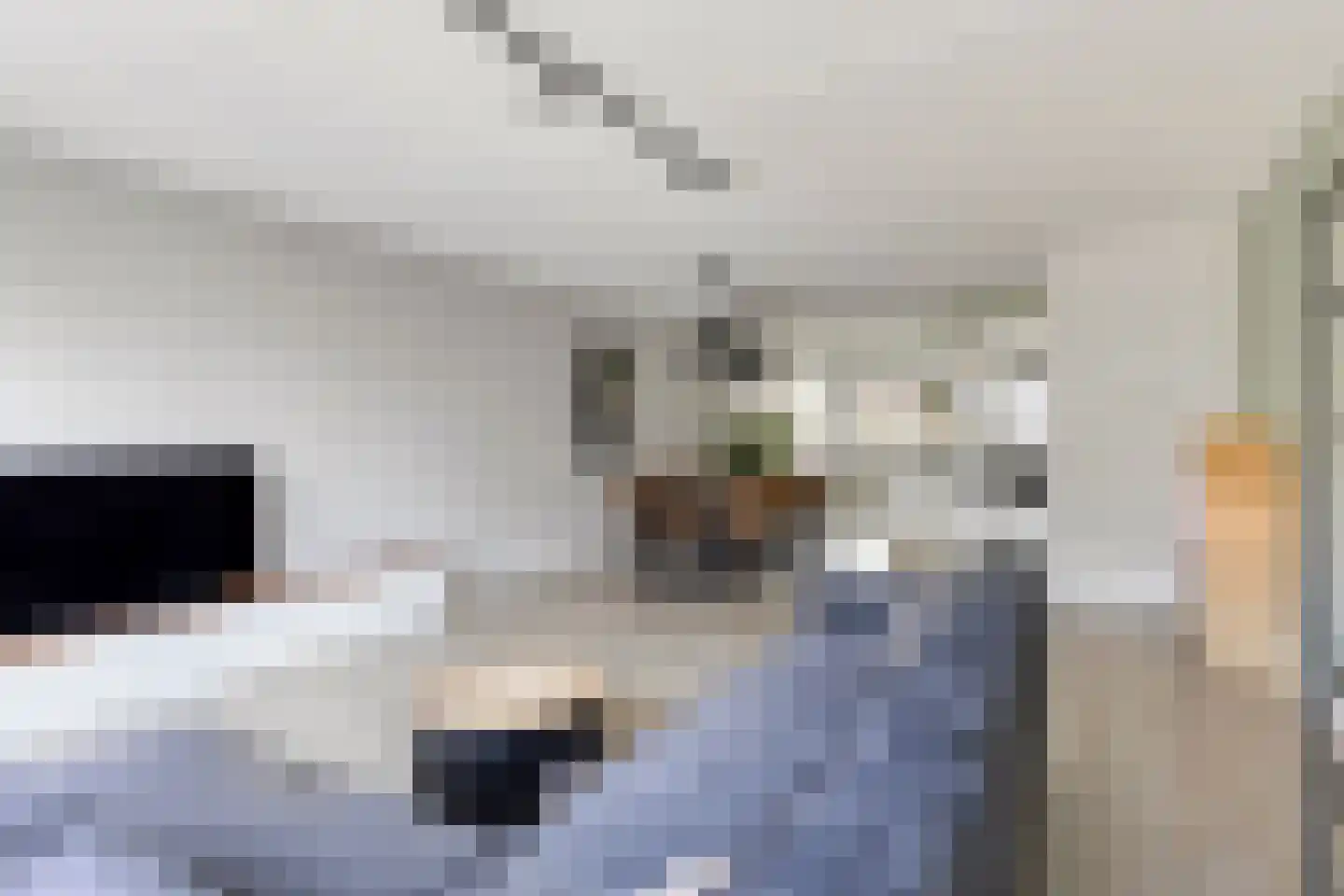 Zandheuvelweg 18 Naaldwijk thumbnail 11