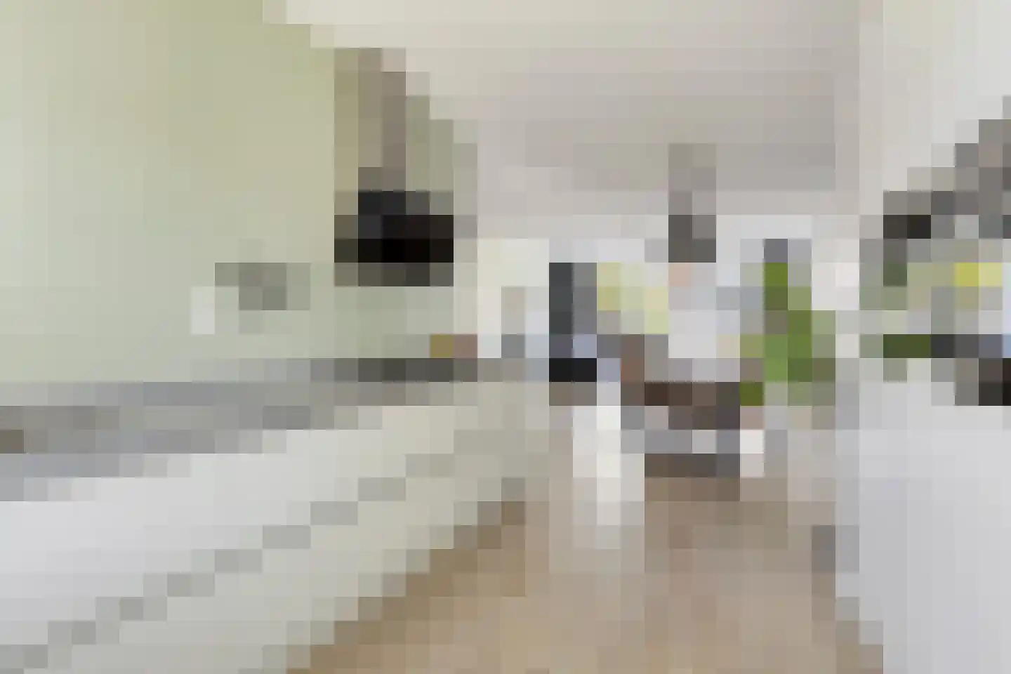 Zandheuvelweg 18 Naaldwijk thumbnail 16