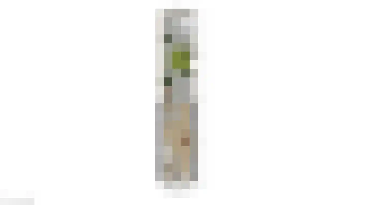 Zandheuvelweg 18 Naaldwijk thumbnail 40