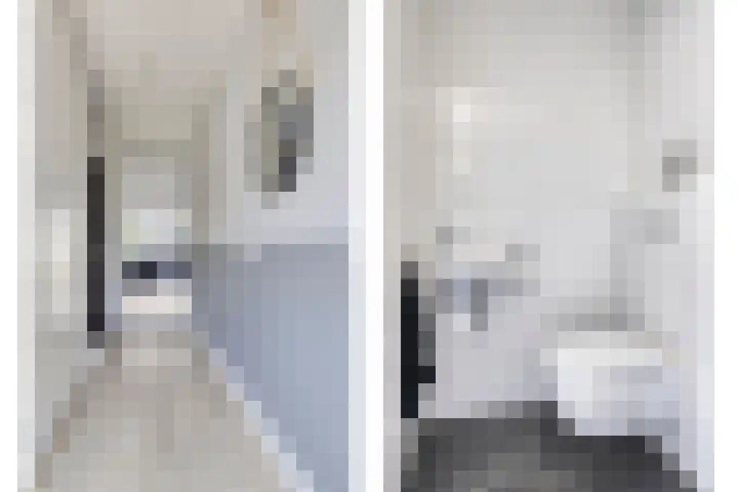 Zandheuvelweg 18 Naaldwijk thumbnail 7