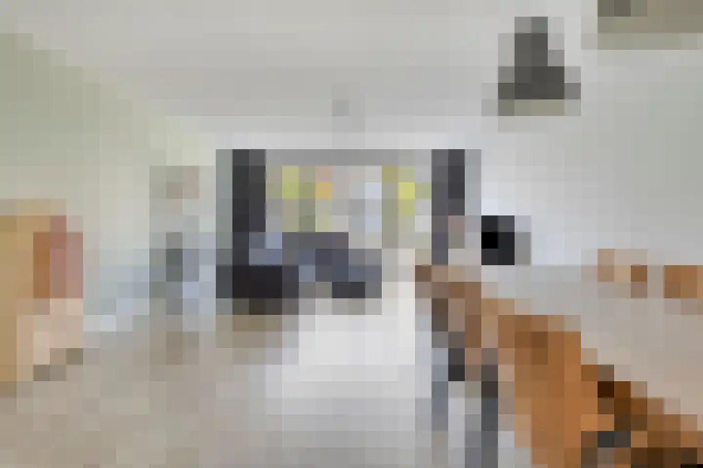Zandheuvelweg 18 Naaldwijk thumbnail 8