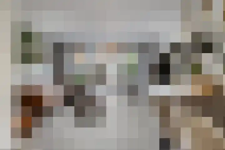 Zandheuvelweg 79 Naaldwijk thumbnail 10