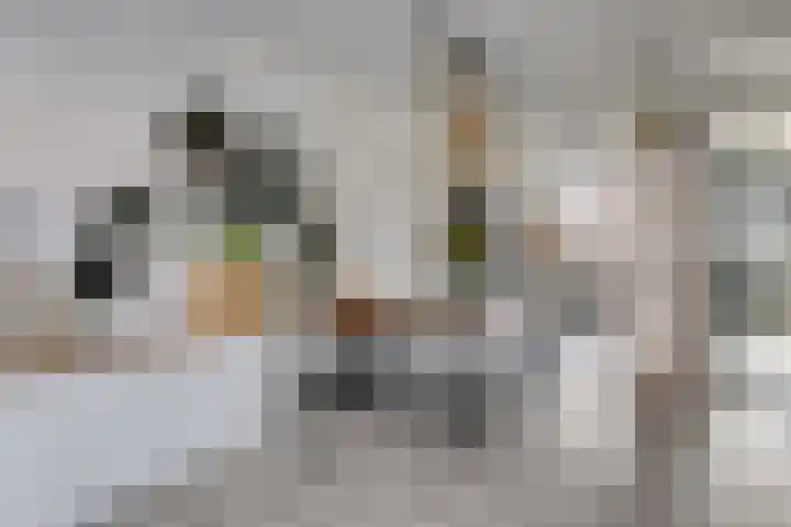Zandheuvelweg 79 Naaldwijk thumbnail 11