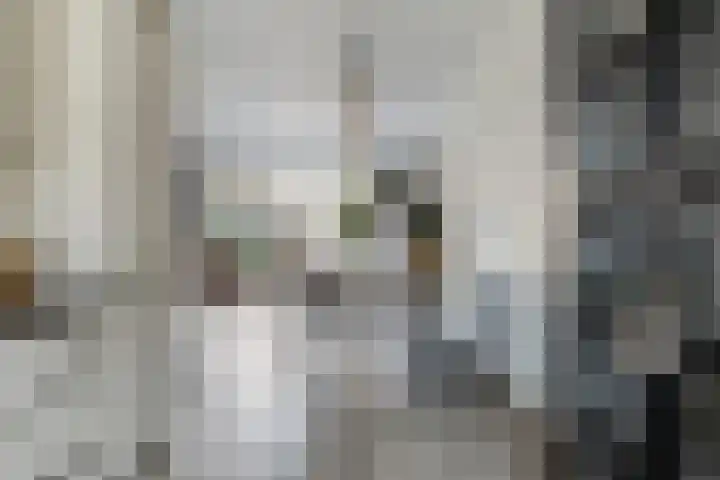 Zandheuvelweg 79 Naaldwijk thumbnail 13