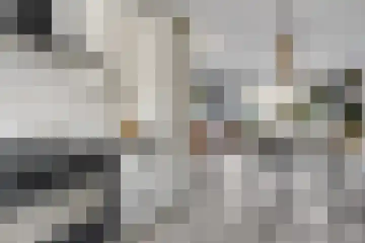 Zandheuvelweg 79 Naaldwijk thumbnail 14