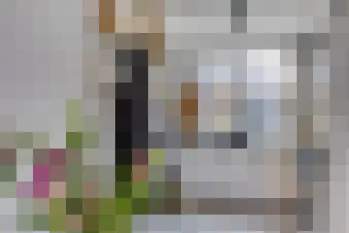 Zandheuvelweg 79 Naaldwijk thumbnail 16