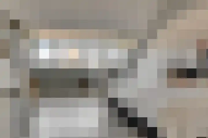 Zandheuvelweg 79 Naaldwijk thumbnail 30