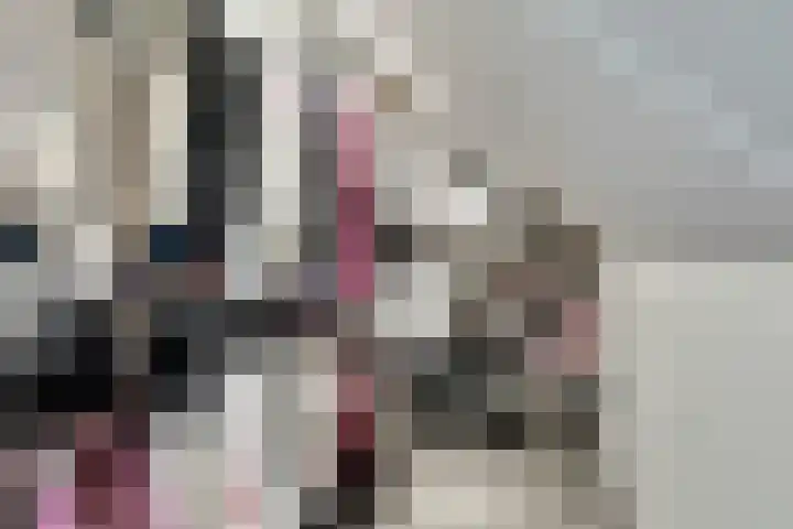Zandheuvelweg 79 Naaldwijk thumbnail 32