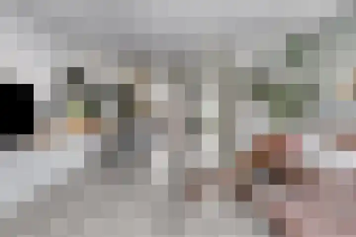 Zandheuvelweg 79 Naaldwijk thumbnail 4