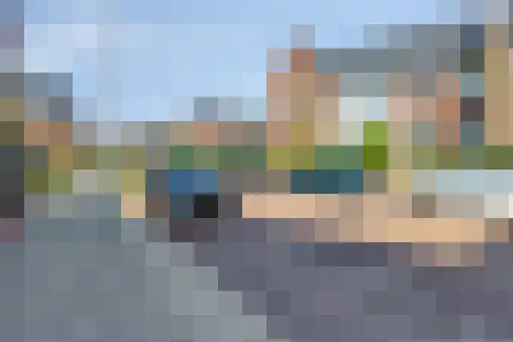 Zandheuvelweg 79 Naaldwijk thumbnail 40