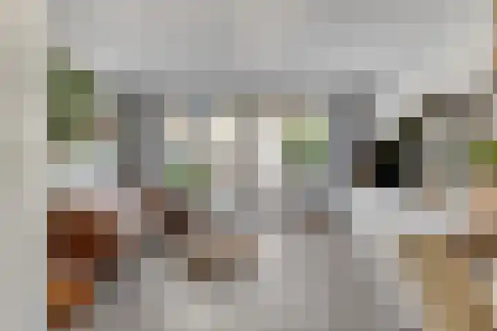Zandheuvelweg 79 Naaldwijk thumbnail 5