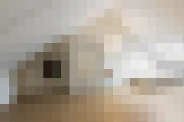 Zandheuvelweg 84 Naaldwijk thumbnail 30