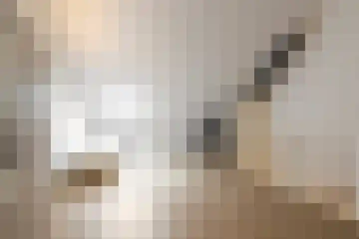 Zandheuvelweg 84 Naaldwijk thumbnail 31