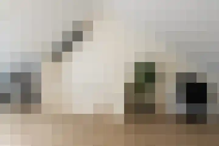Zandheuvelweg 84 Naaldwijk thumbnail 33