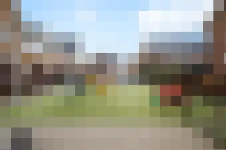 Zandheuvelweg 84 Naaldwijk thumbnail 37