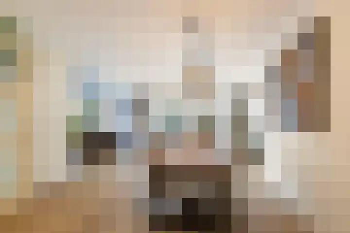 Zandheuvelweg 84 Naaldwijk thumbnail 7