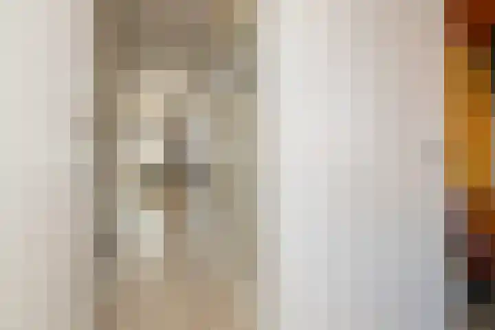 Zandheuvelweg 9 Naaldwijk thumbnail 15