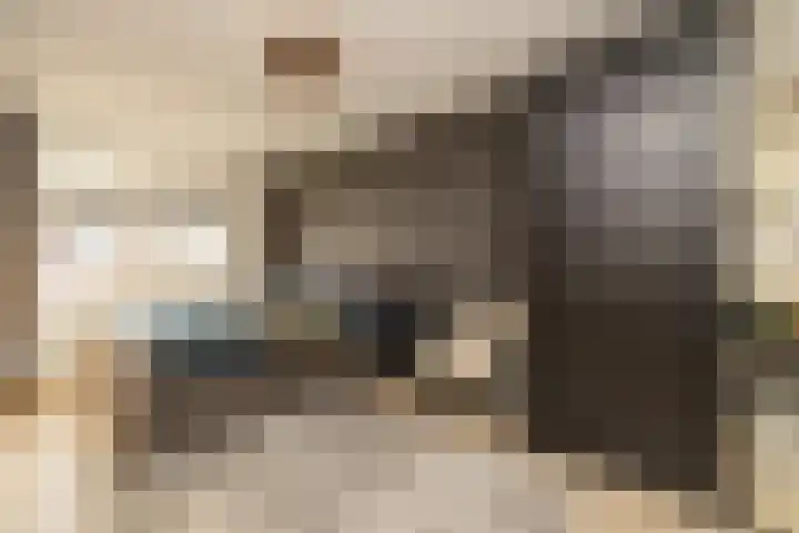 Zandheuvelweg 9 Naaldwijk thumbnail 16
