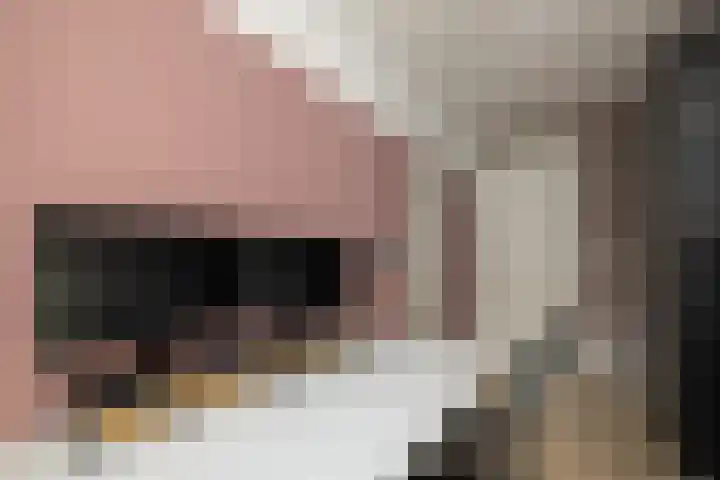 Zandheuvelweg 9 Naaldwijk thumbnail 19