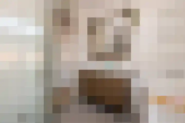 Zandheuvelweg 9 Naaldwijk thumbnail 22