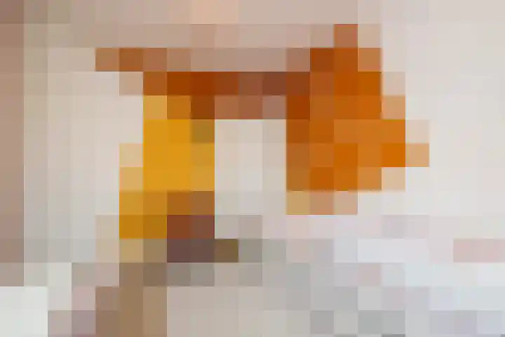 Zandheuvelweg 9 Naaldwijk thumbnail 25