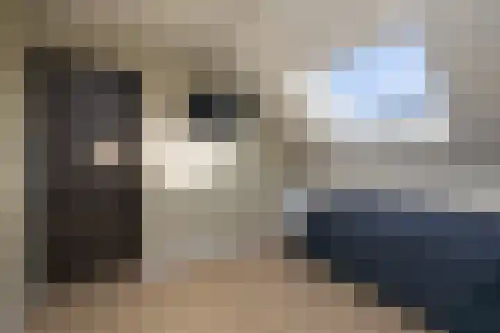 Zandheuvelweg 9 Naaldwijk thumbnail 32