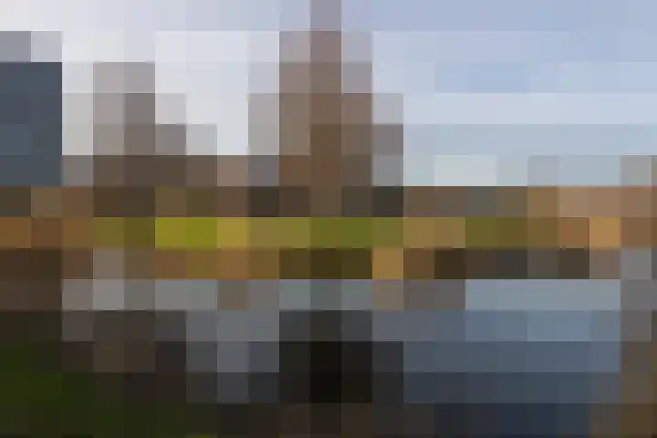Zandheuvelweg 9 Naaldwijk thumbnail 38