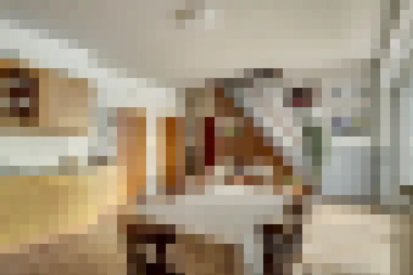 Zandhoek 15 Oirlo thumbnail 13