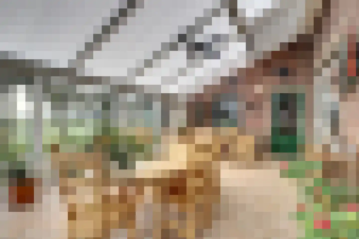 Zandhoek 15 Oirlo thumbnail 16