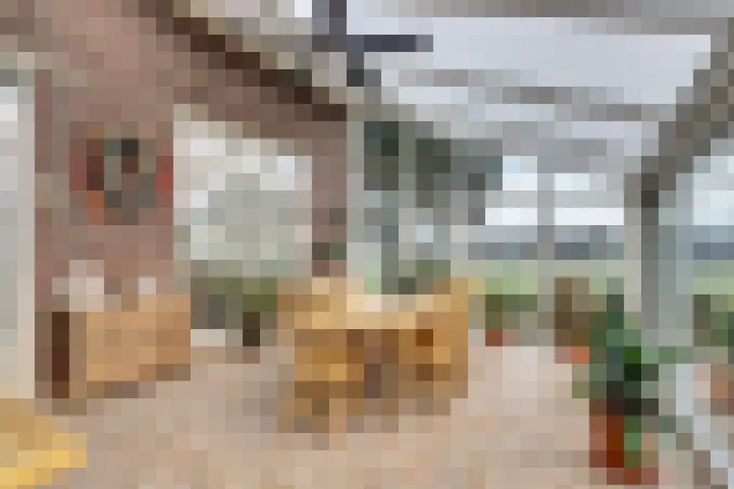Zandhoek 15 Oirlo thumbnail 17