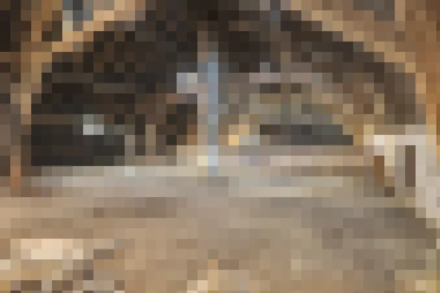 Zandhoek 15 Oirlo thumbnail 32