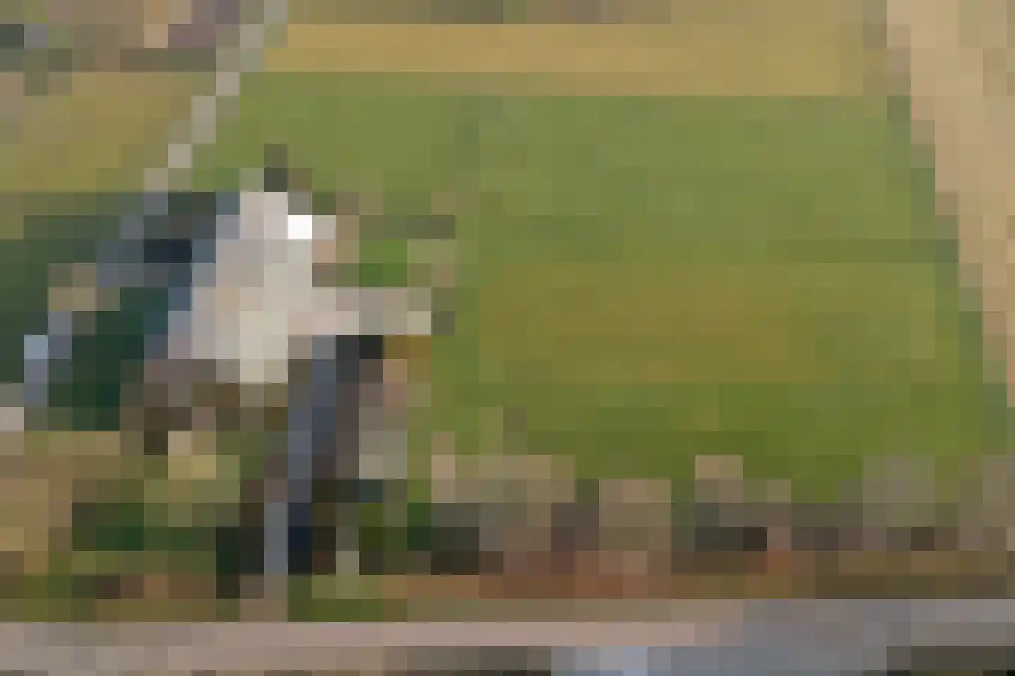 Zandhoek 15 Oirlo thumbnail 56