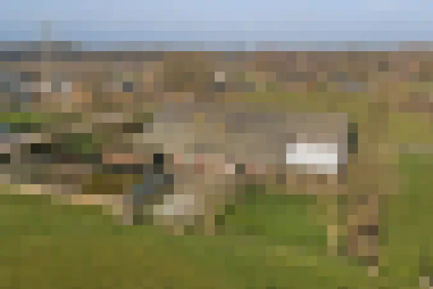 Zandhoek 15 Oirlo thumbnail 57