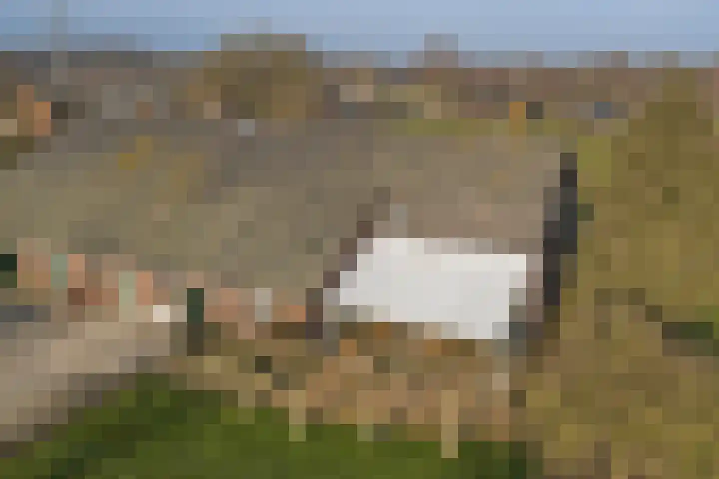 Zandhoek 15 Oirlo thumbnail 59