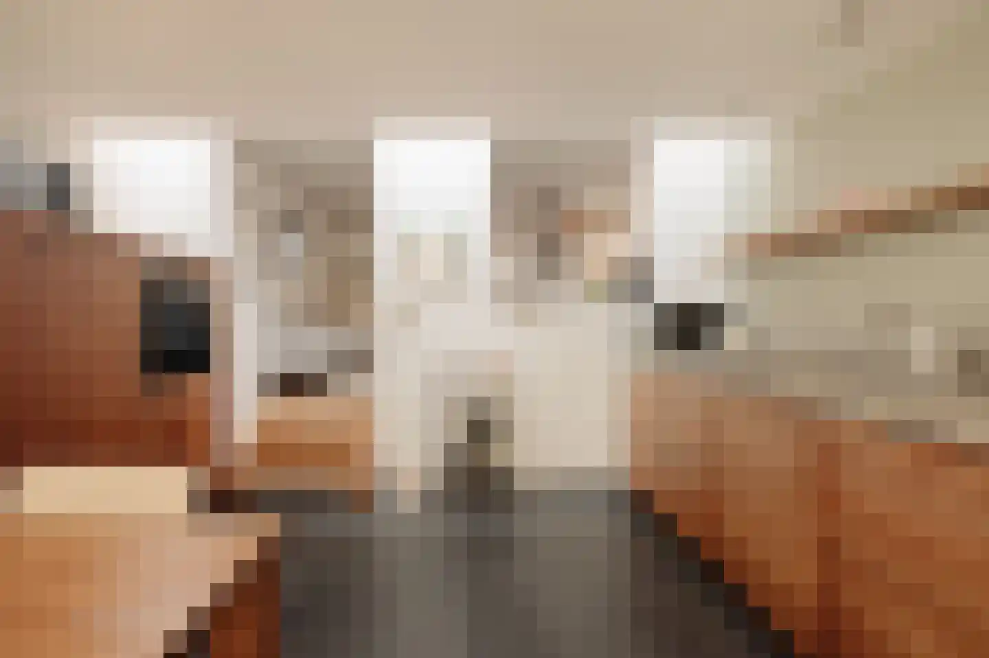 Zandhoek 3 Amsterdam thumbnail 15