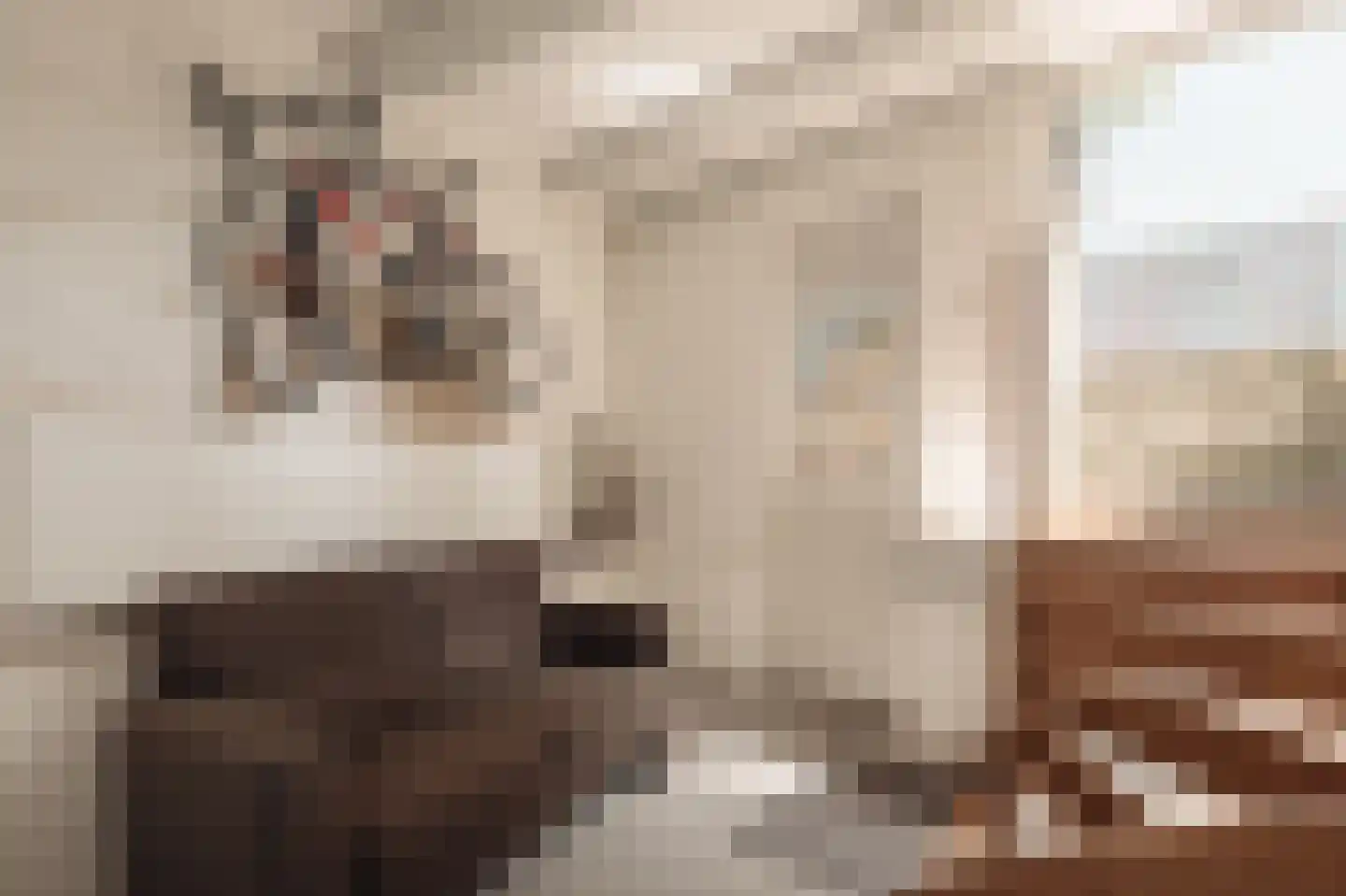 Zandhoek 3 Amsterdam thumbnail 36
