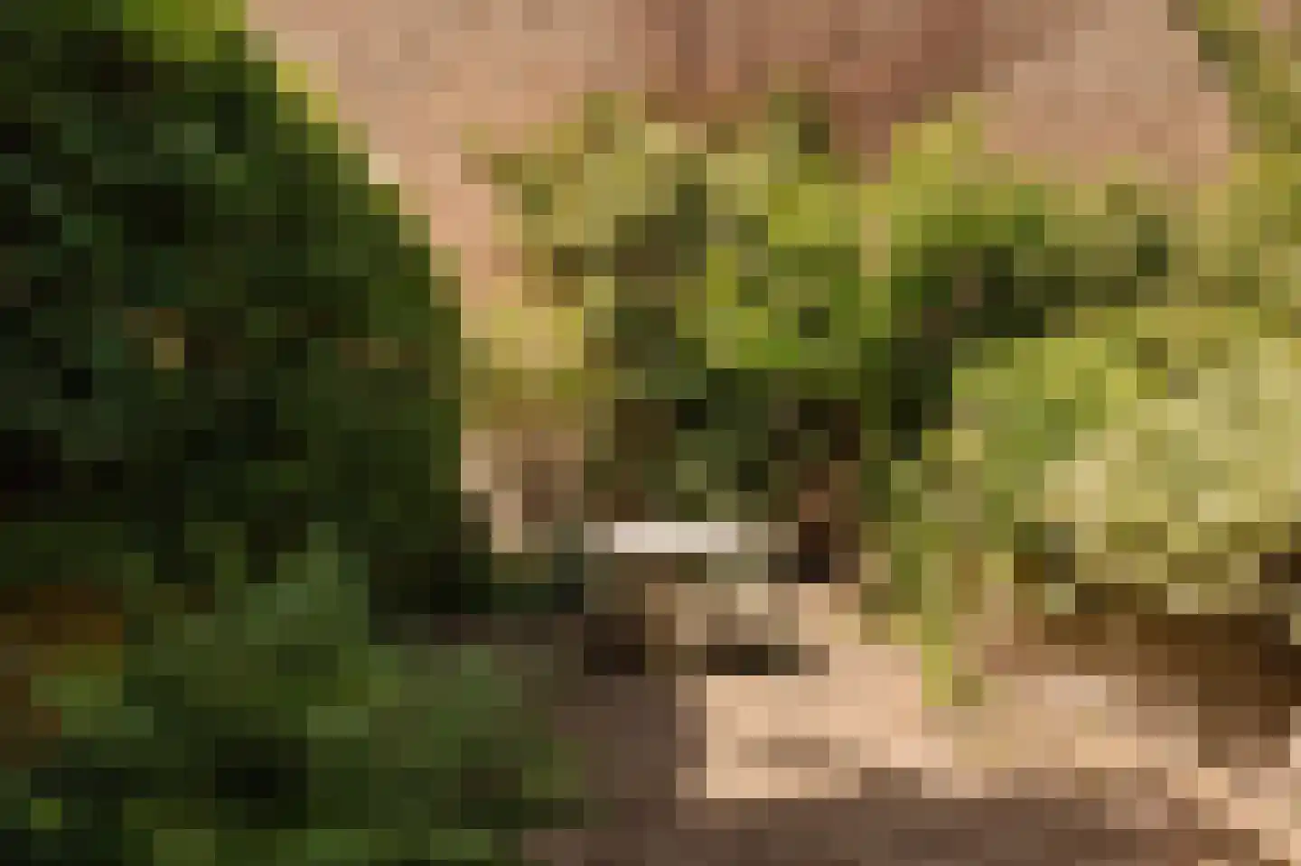 Zandhoek 3 Amsterdam thumbnail 4