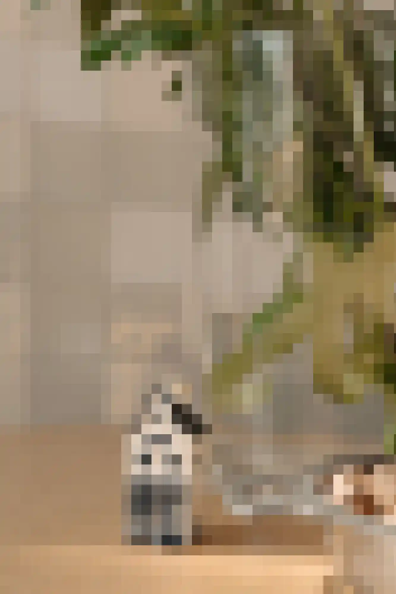 Zandhoek 3 Amsterdam thumbnail 9