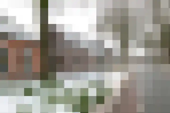Zandhoeklaan 17 Westerbork thumbnail 4
