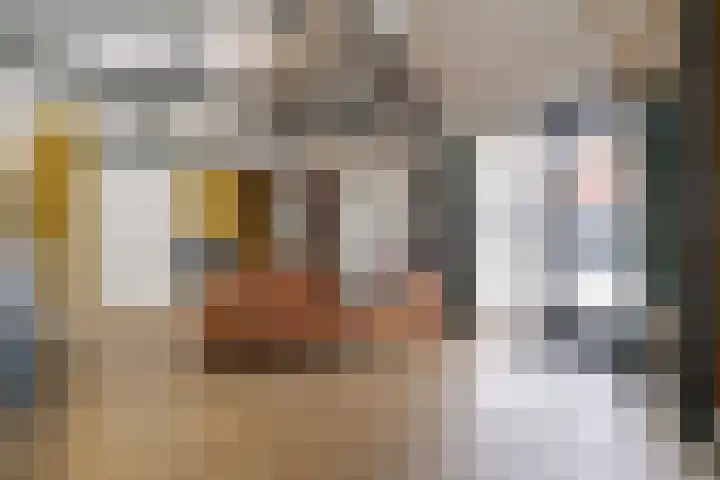 Zandhoeklaan 17 Westerbork thumbnail 42