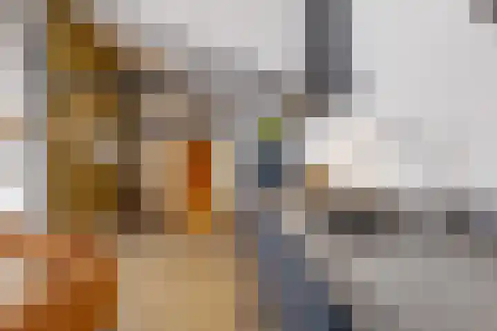 Zandhoeklaan 17 Westerbork thumbnail 45