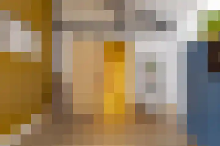 Zandhoeklaan 17 Westerbork thumbnail 47