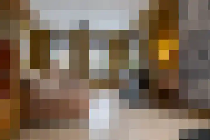 Zandhoeklaan 17 Westerbork thumbnail 9