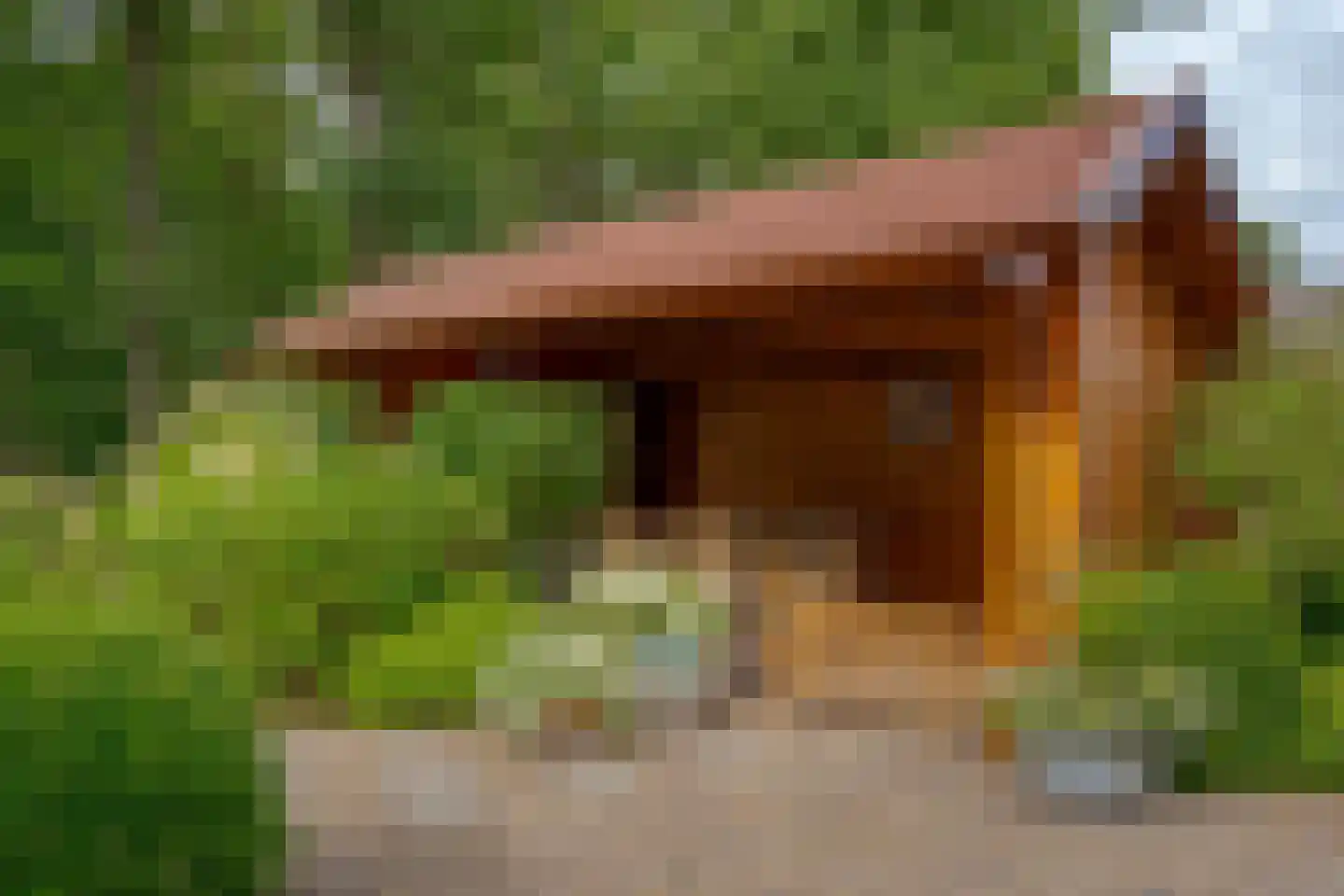 Zandhoeklaan 29 Westerbork thumbnail 49