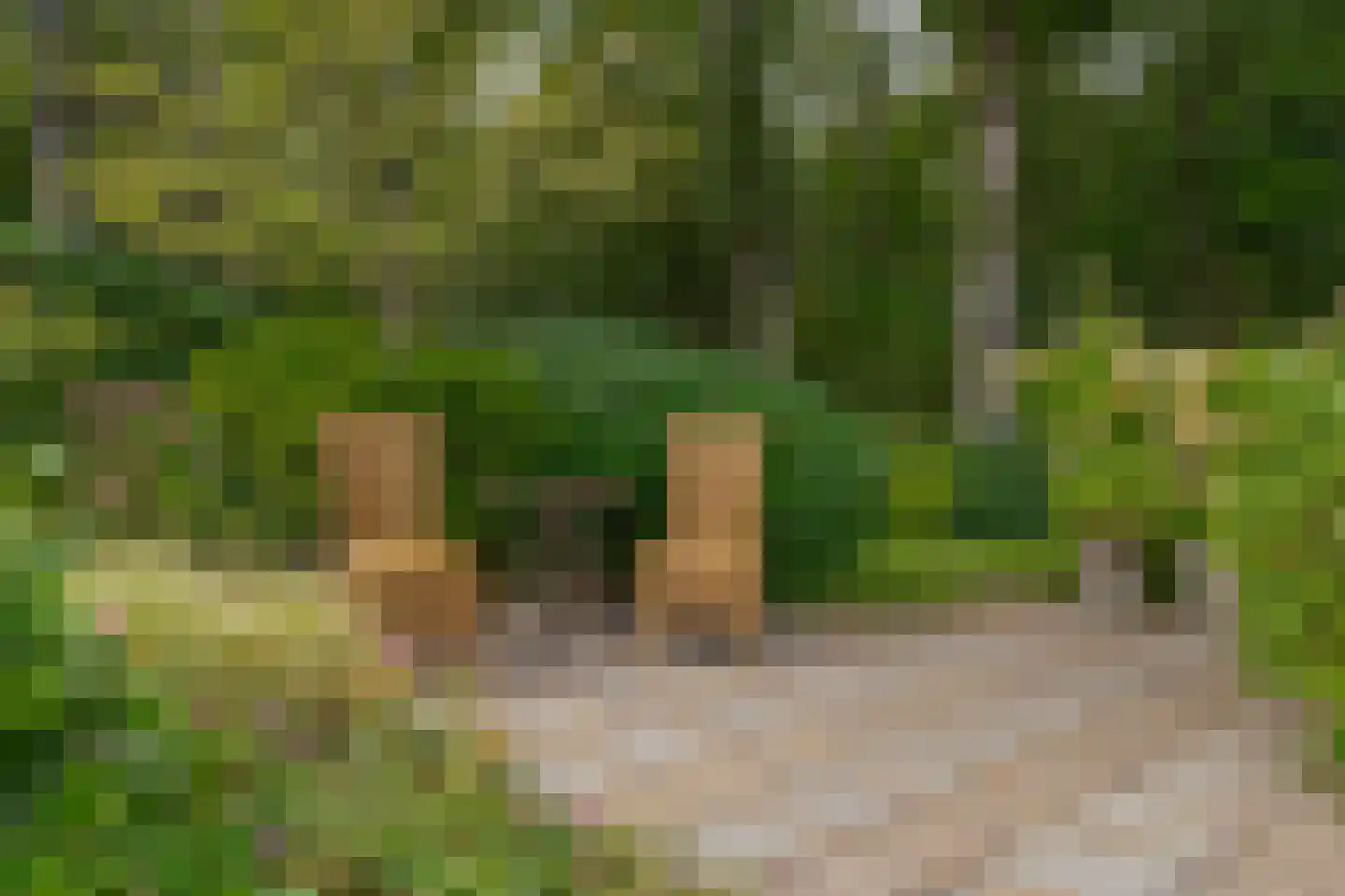 Zandhoeklaan 29 Westerbork thumbnail 52