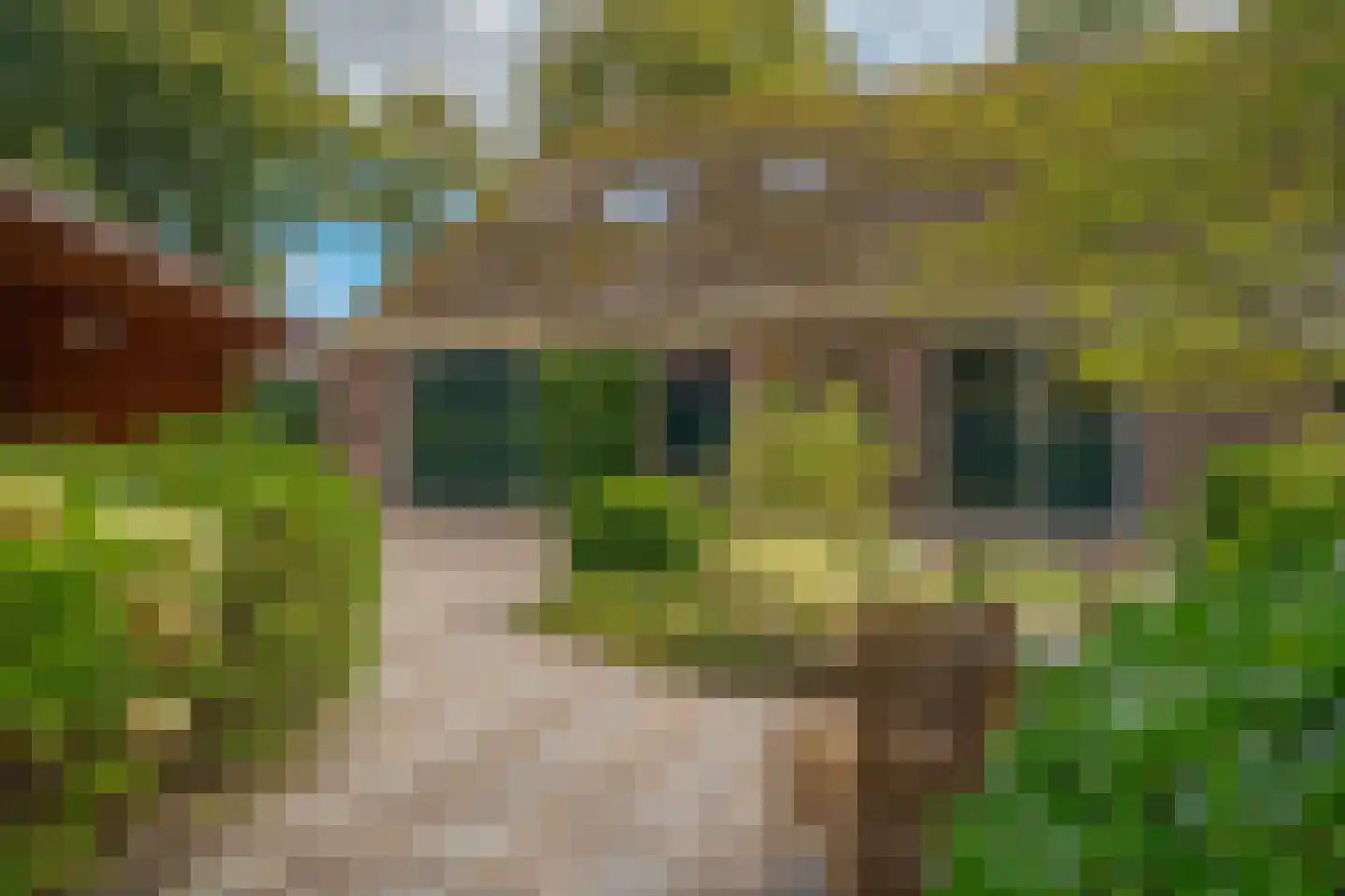 Zandhoeklaan 29 Westerbork thumbnail 53